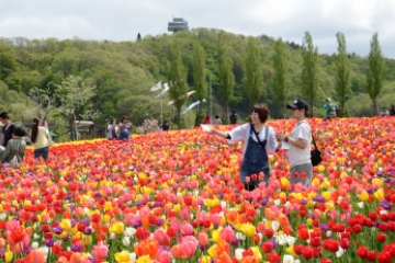 国営越後丘陵公園